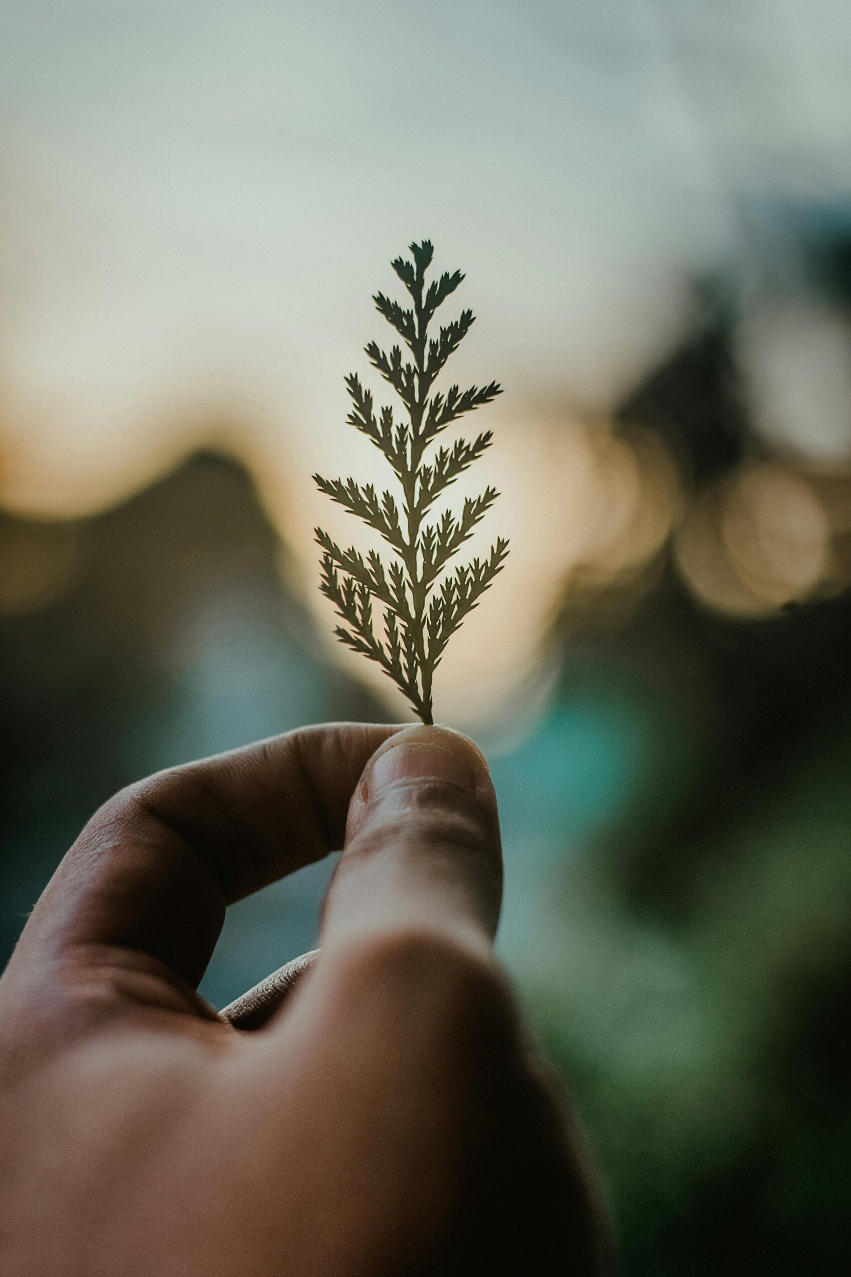 man holding small leaf for trauma 101